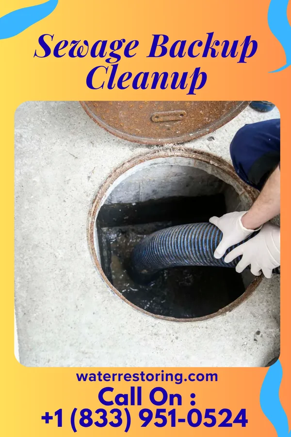 Sewage Backup Cleanup in Bennington, NE